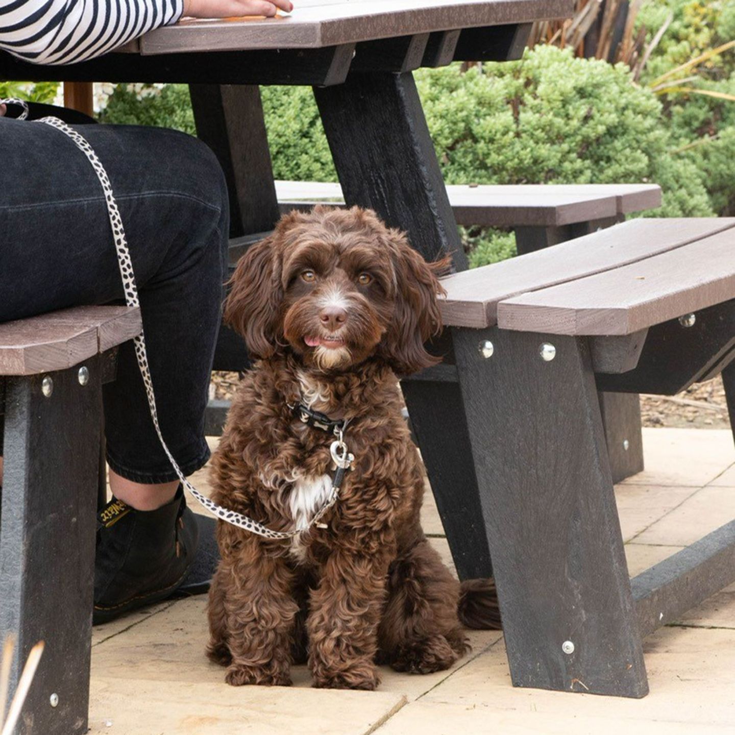 Your local dog friendly pub in Balloch